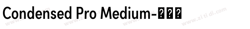 Condensed Pro Medium字体转换 Condensed Pro Medium字体转换
